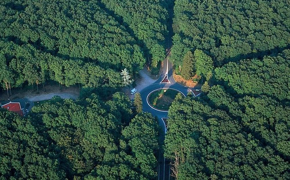 Forêt de Tronçais