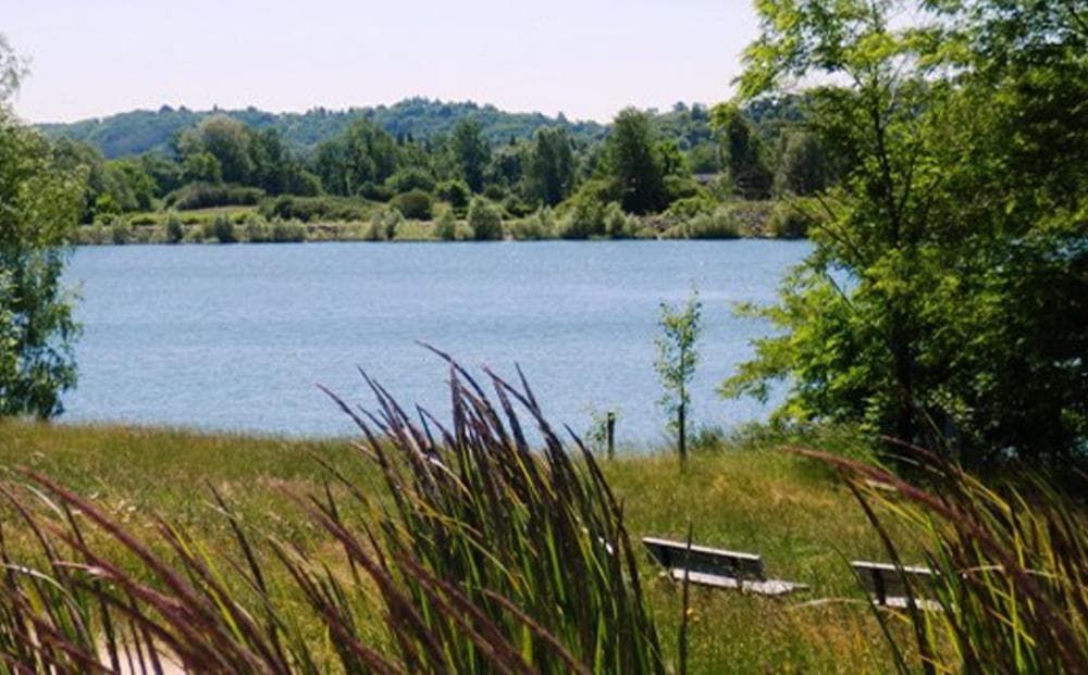 Le lac de Virlay